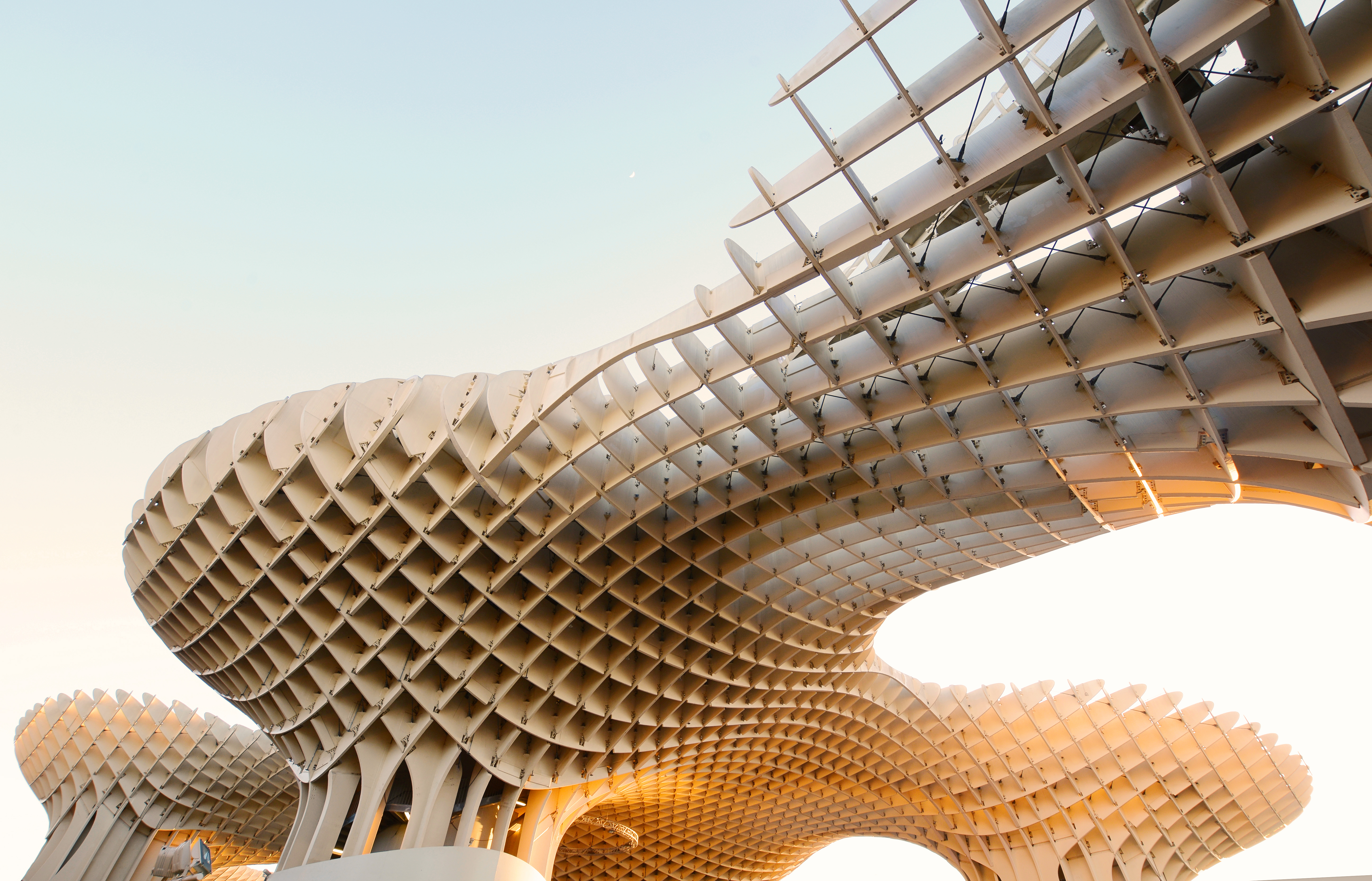 Public pavilion canopy structure in an urban square